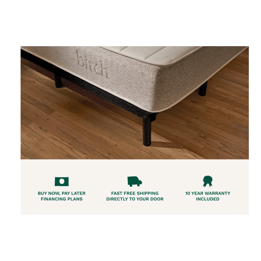 Birch modern design bed frame