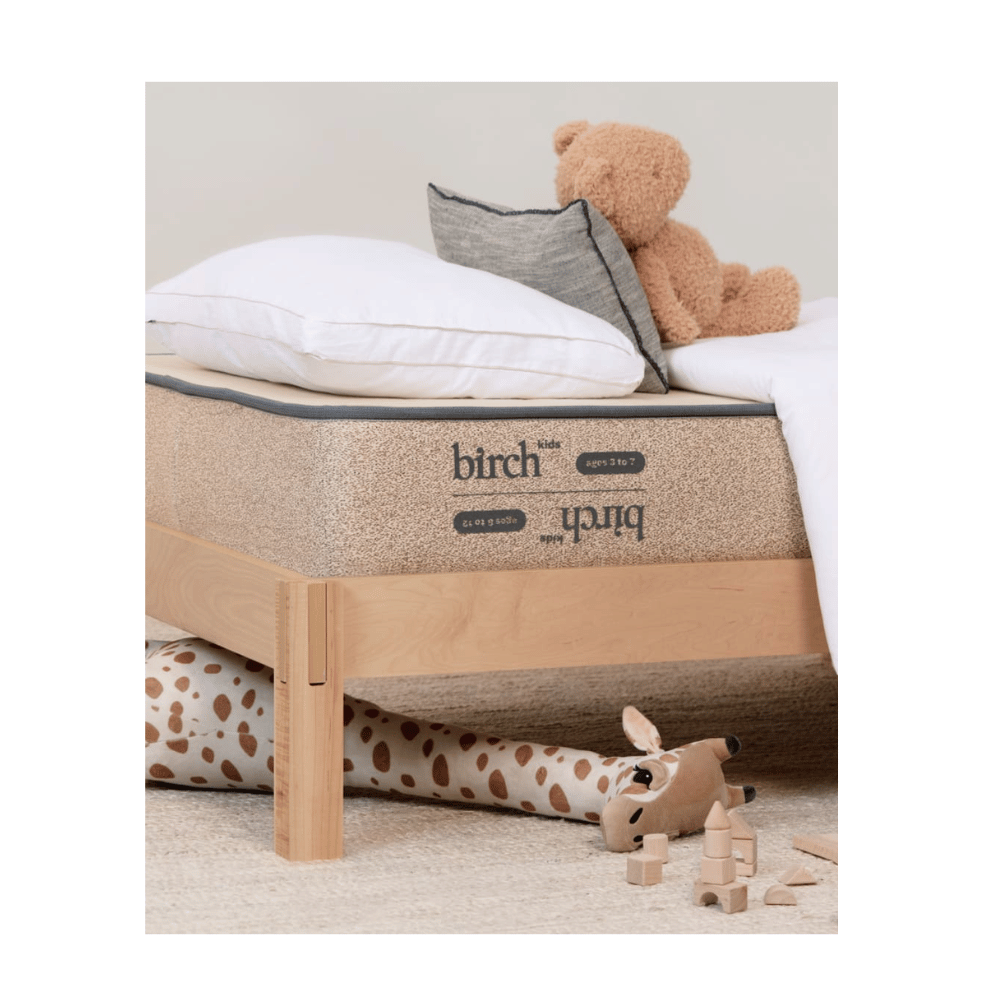  Birch minimalist design bed frame