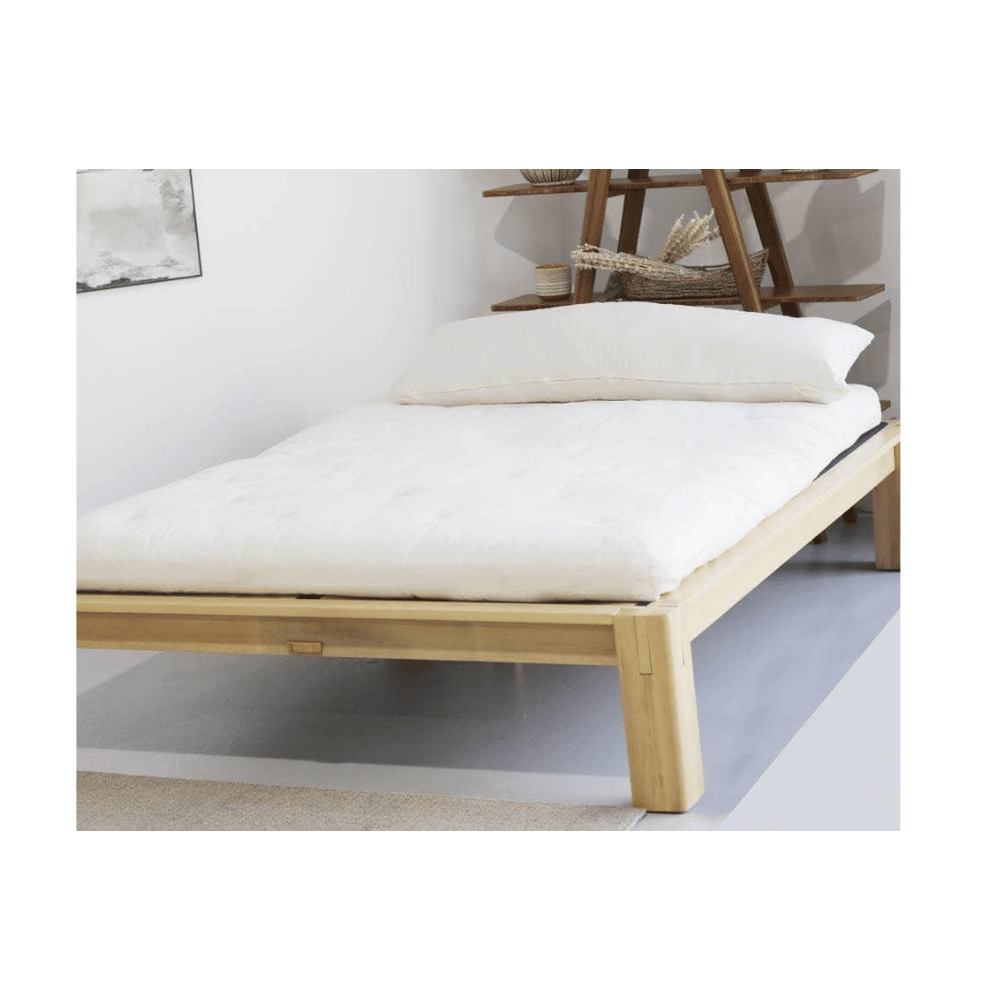 The Futon Shop supportive mattress