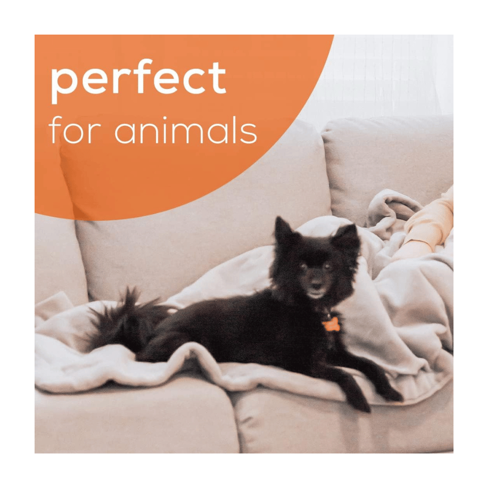 Beurer heated blanket for pets