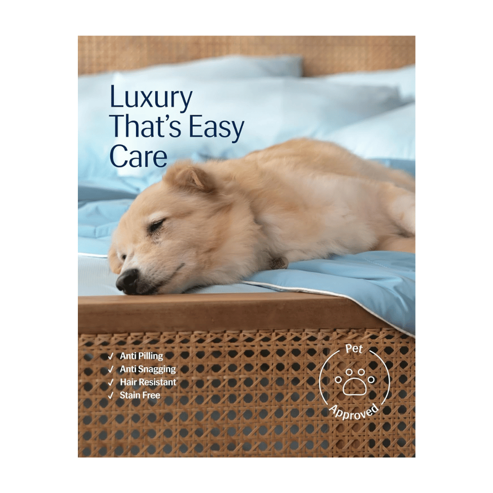 Dog resting on Rest Evercool cooling comforter pet friendly soft stain resistant blanket