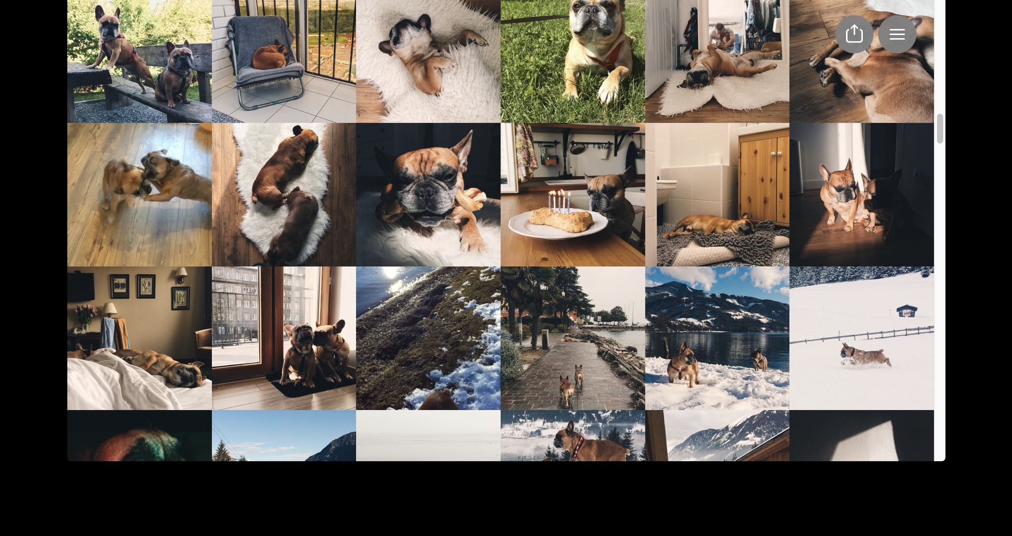 instagram embedding_readymag blog