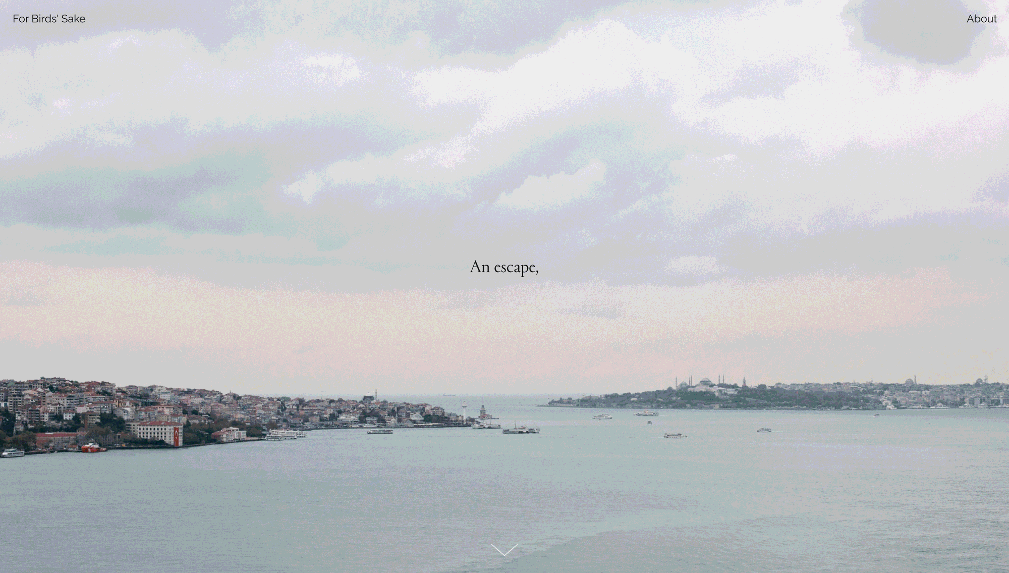 readymag blog_screenshots Marina Meyer