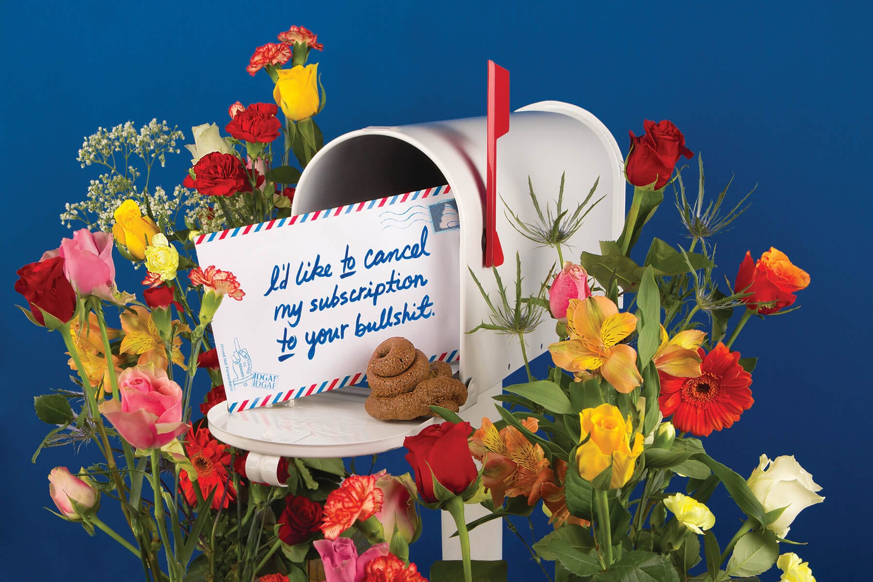 Readymag blog_Sorry I Have No Filter by Jessica Walsh