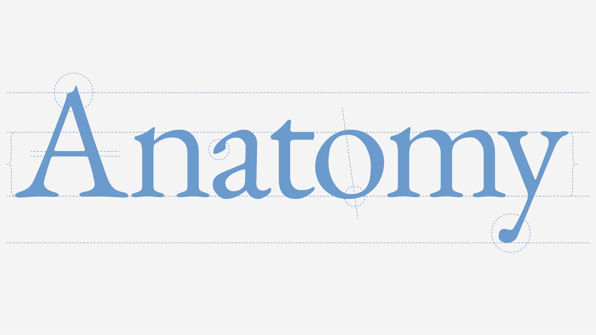 type anatomy_readymag blog