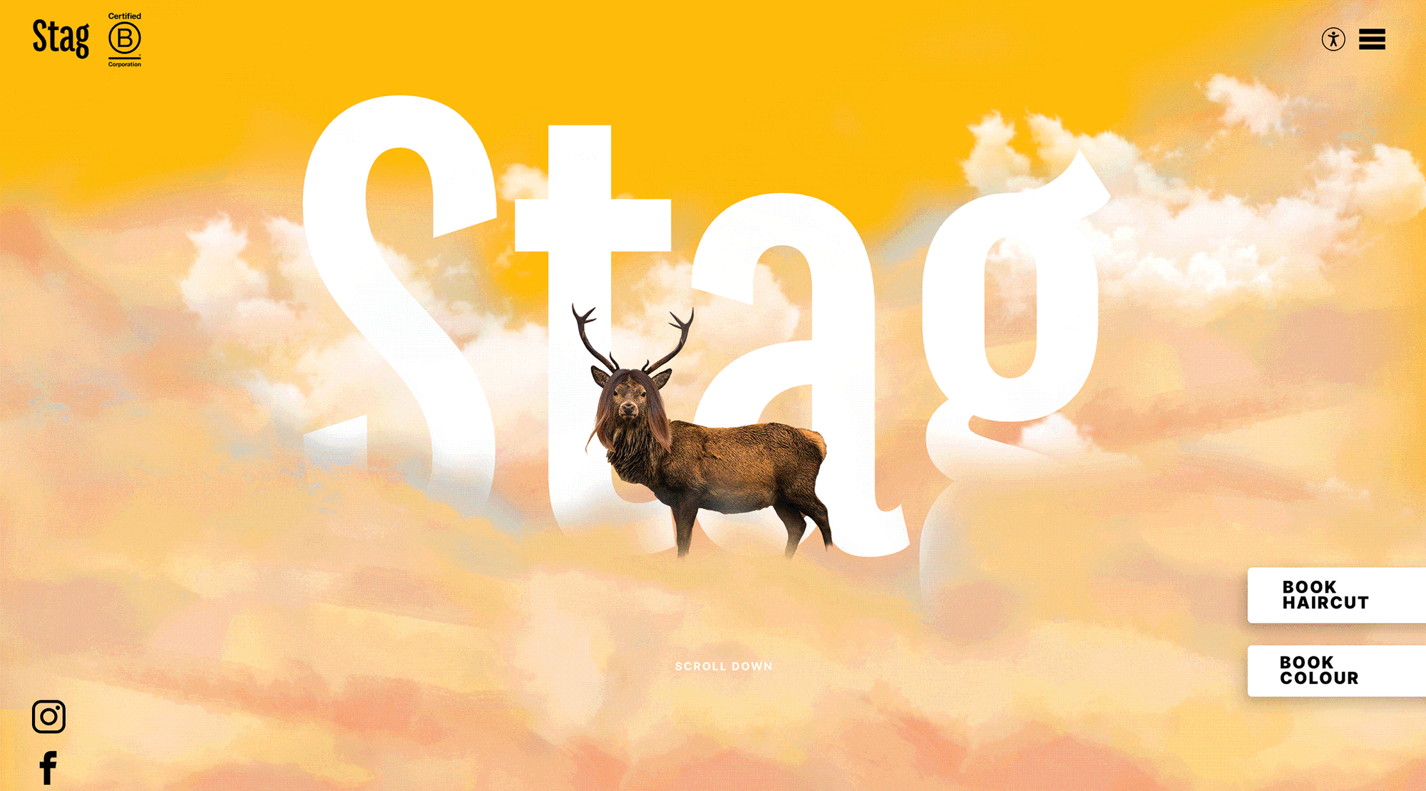 readymag blog: Interactive designs that delight and engage