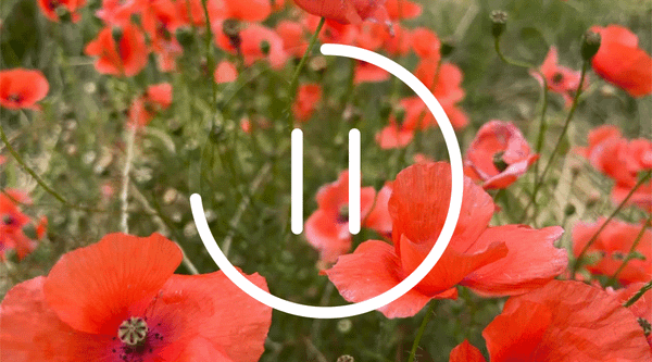 Readymag blog: New video experience product update 