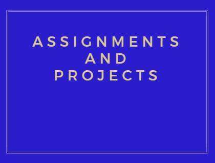 Assignment Projects