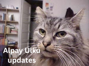Alpay Ulku