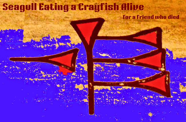 Seagull Eating a Crayfish Alive