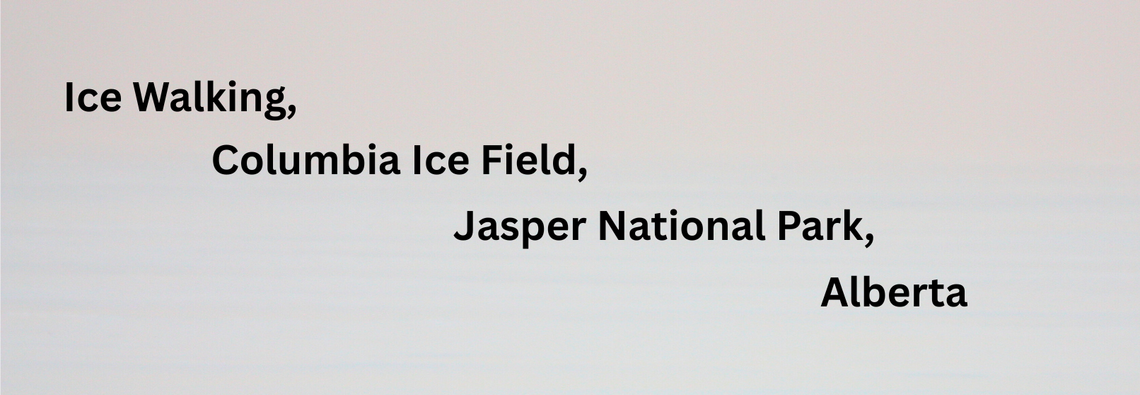 Ice Walking, Columbia Ice Field, Jasper National Park, Alberta