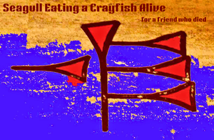 Seagull Eating a Crayfish Alive