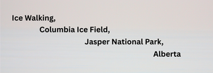 Ice Walking, Columbia Ice Field, Jasper National Park, Alberta