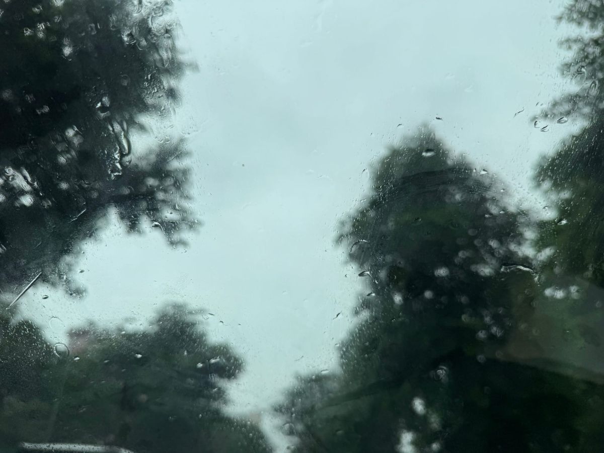 The eye of the storm