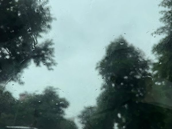 The eye of the storm