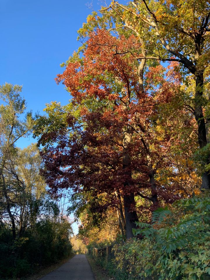 Life Updates, Goal Setting, TikTok Ban