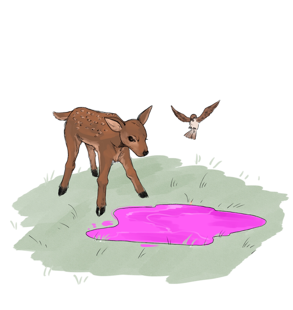 A deer and a bird stand in a patch of grass, gazing at a puddle of blood.