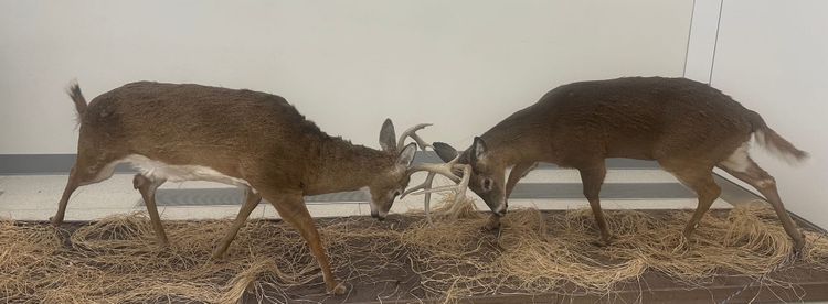 MISTAKE! (The Good Kind)