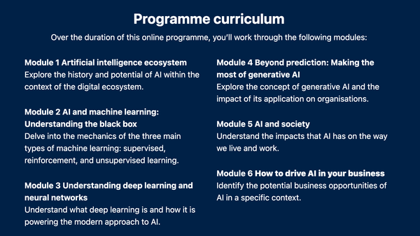 Is Executive Training the "picks and shovels" of the AI Gold Rush?