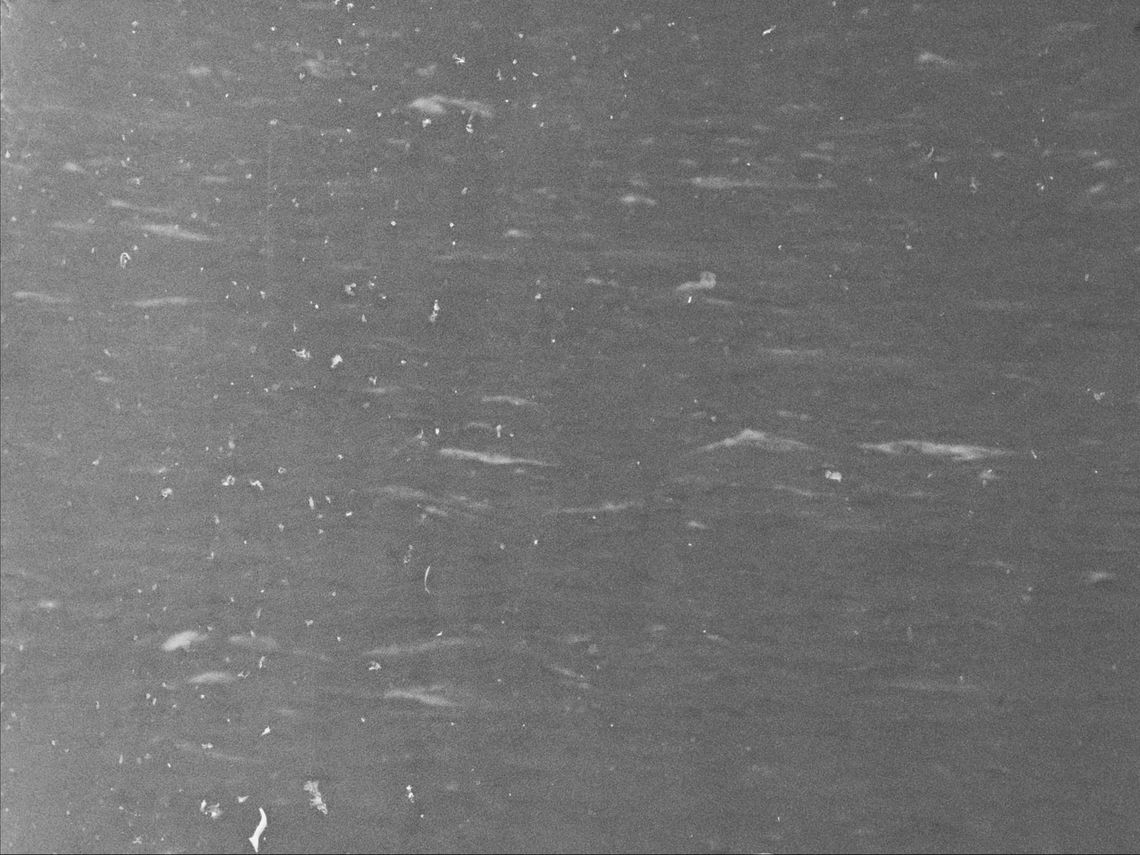 waves raised by wind on the North Atlantic ocean, visibly scratched image tainted by oil of cotoneaster 