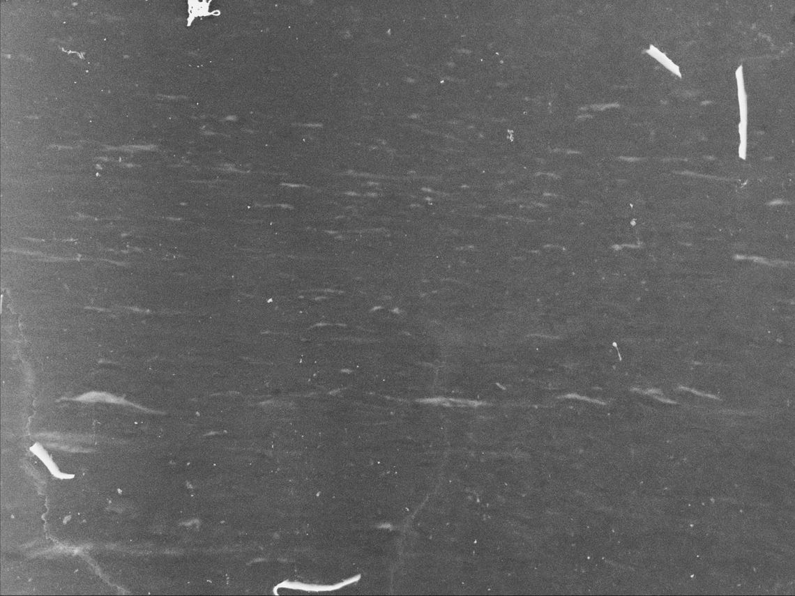 waves raised by wind on the North Atlantic ocean, visibly scratched image tainted by oil of cotoneaster 