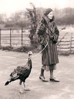 Chatter: What's Hot in Slow December - All the Really Good News that is Fit to Print!