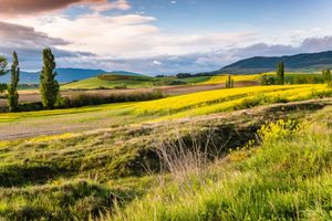 Sentenced, The Story of the Middle-Class Housewife, the British Prisoner in the Bankok Hilton and the Art of Letter Writing and the Road to Santiago de Compostela