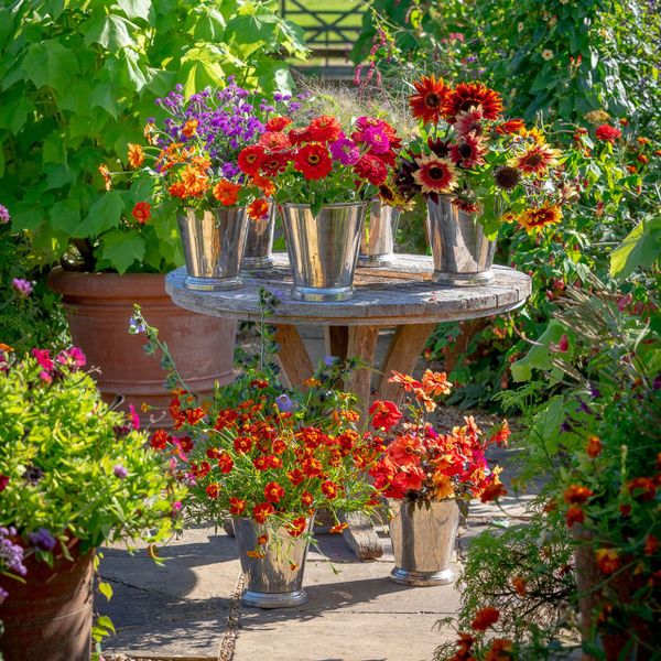 The April Hot List -  Sophia Loren, Hollywood's Last Goddess; Dan Saladino's Eating to Extinction Talk and Michelin Star Lunch; The Reign of  Spain at The Royal Academy; Henry 1st Play at Reading Abbey Ruins and Knossos in Oxford