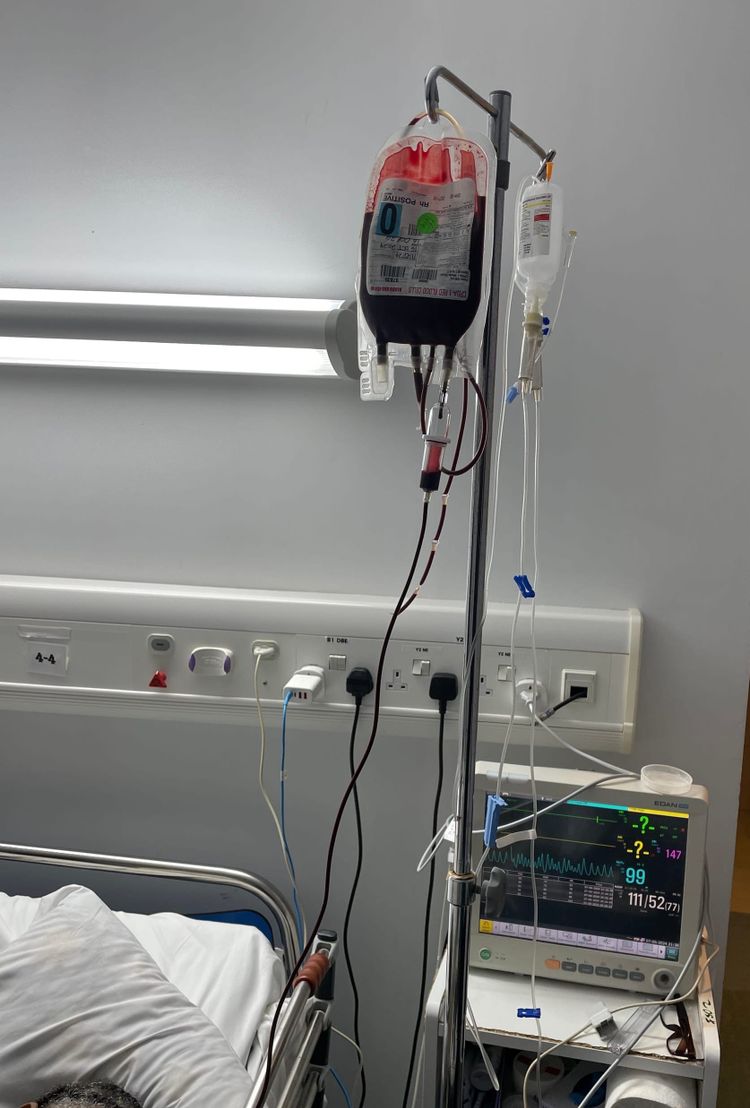 Blood is Thicker Than the Mud 16/9/2024 5:56:10PM