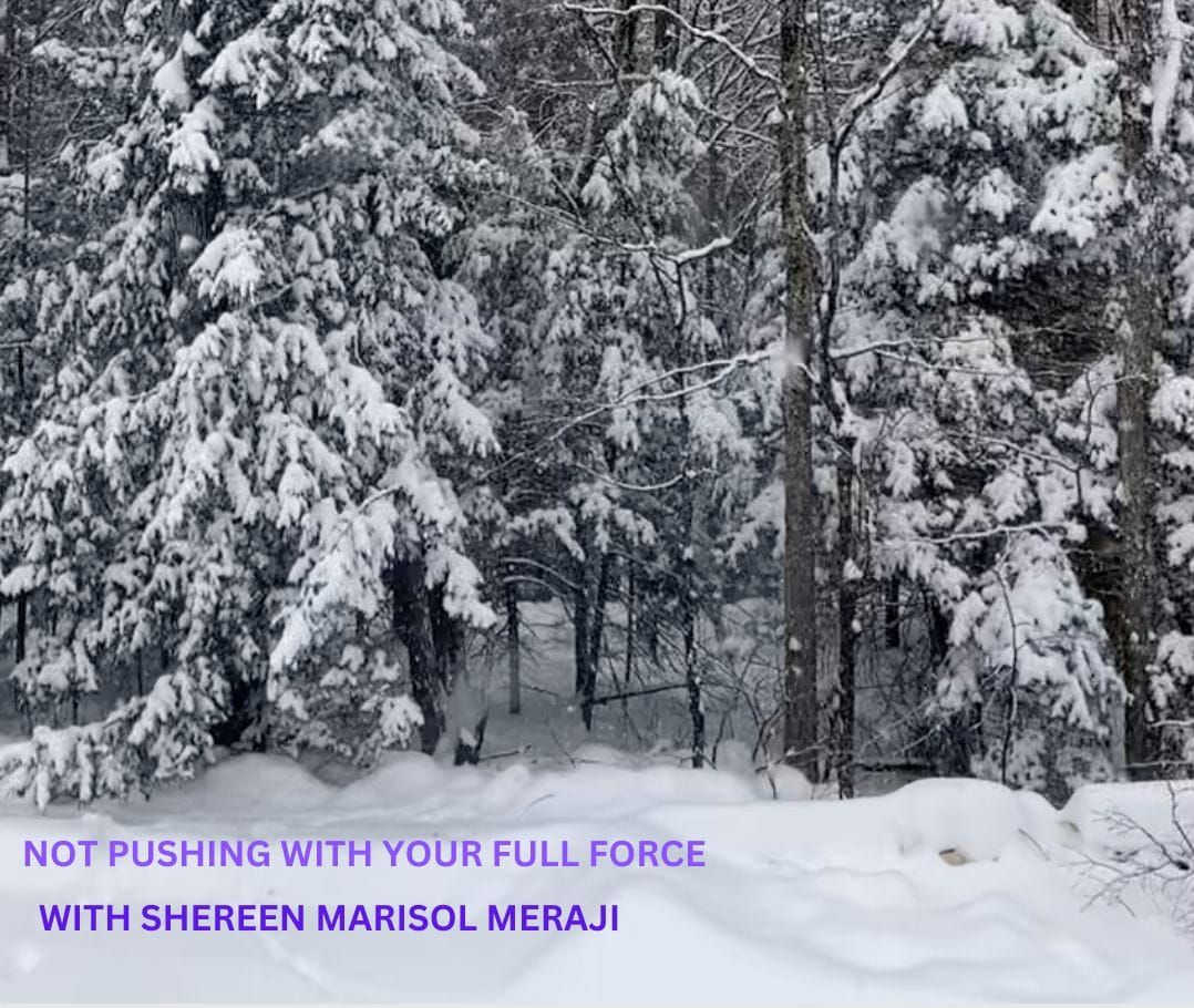 S2Ep5 - Not Pushing With Your Full Force with Shereen Marisol Meraji