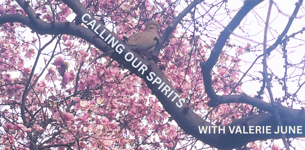 S2E9 - Calling Our Spirits with Valerie June