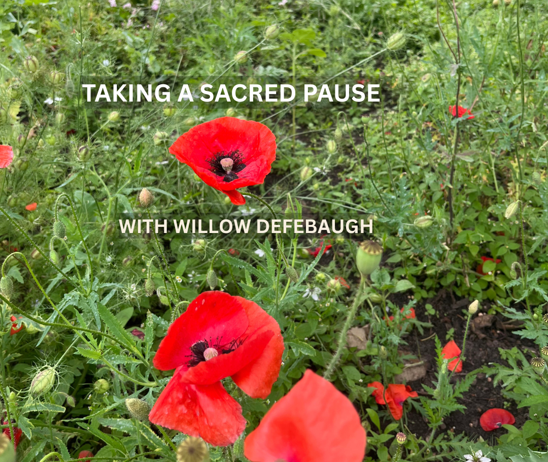 S2E12 - Taking a Sacred Pause with Willow Defebaugh