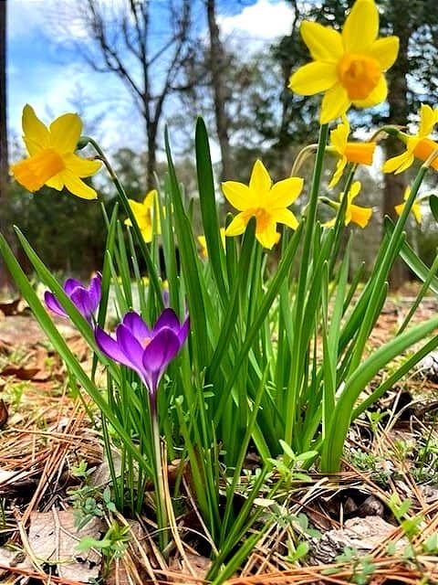 Happy Spring Equinox!