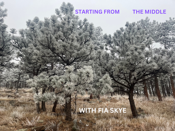 S2Ep3 - Starting from the Middle with Fia Skye