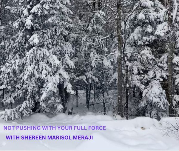 S2Ep5 - Not Pushing With Your Full Force with Shereen Marisol Meraji