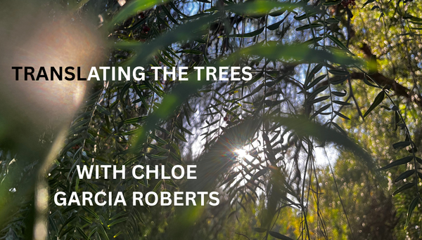 S2E10 - Translating the Trees with Chloe Garcia Roberts