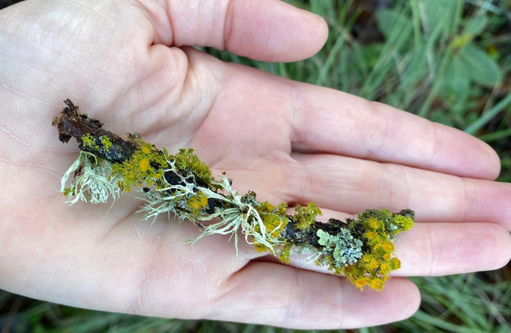 When Love Thy Neighbor Is a Cry of Resistance