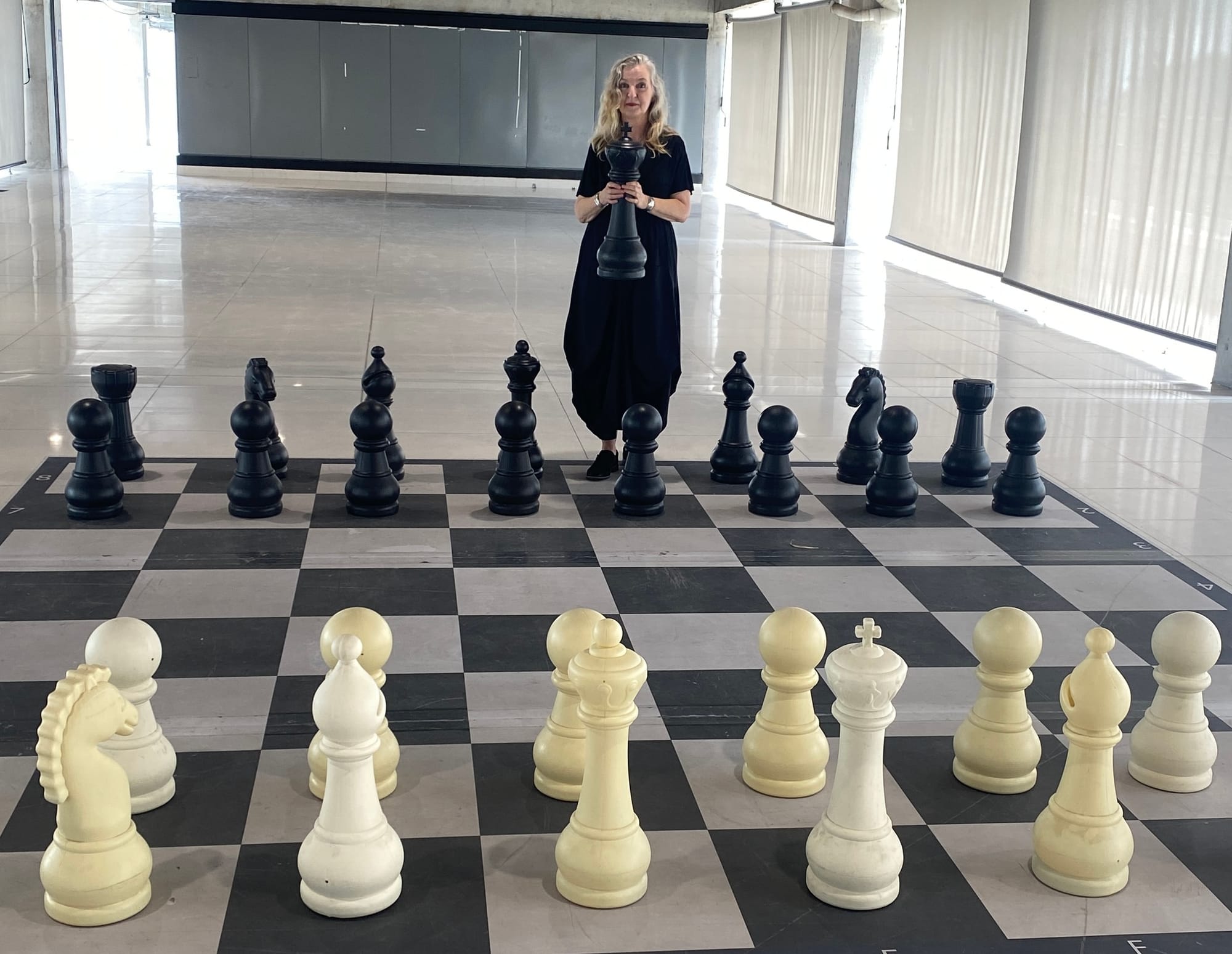 Meditations in an Emergency