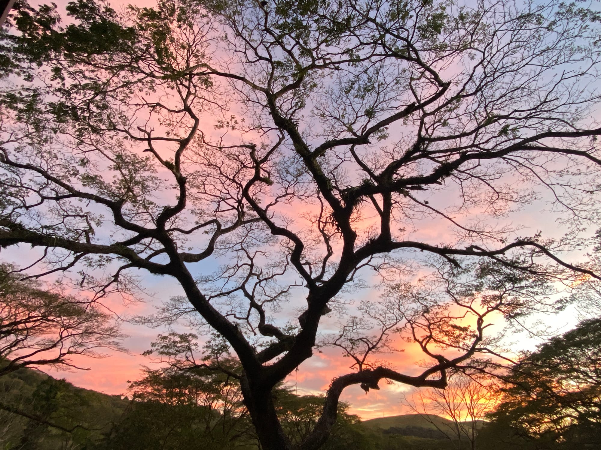 Visions of Life / Agents of Death: On Love Thy Neighbor and Love Thy Nature