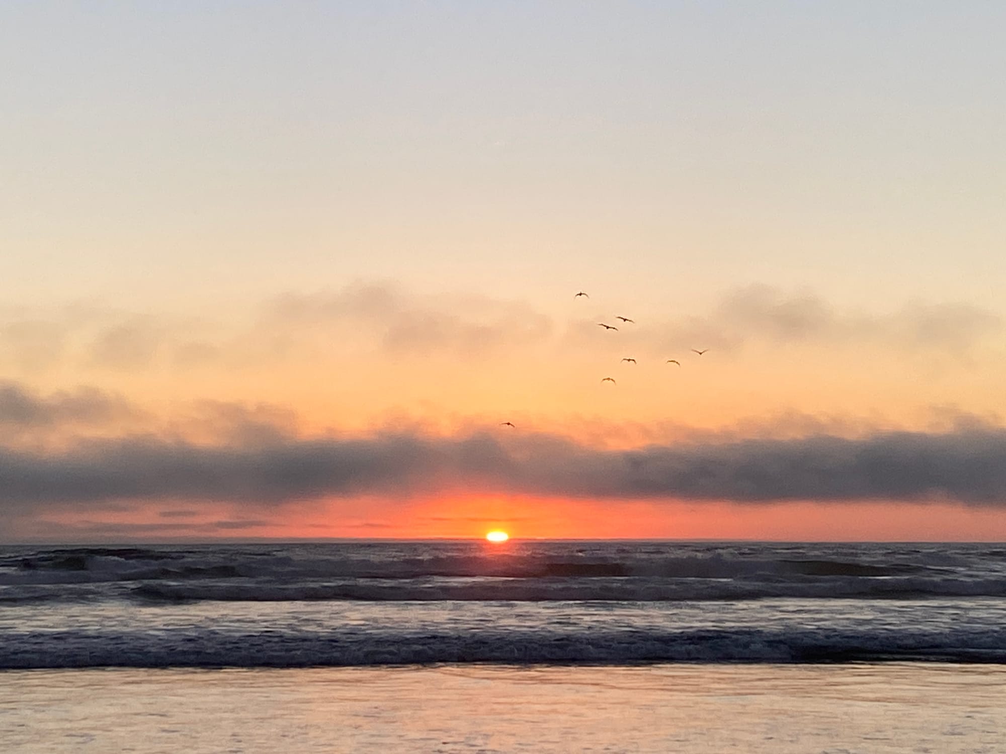 If Fossil Fuels Are War, Renewables Can Bring Peace