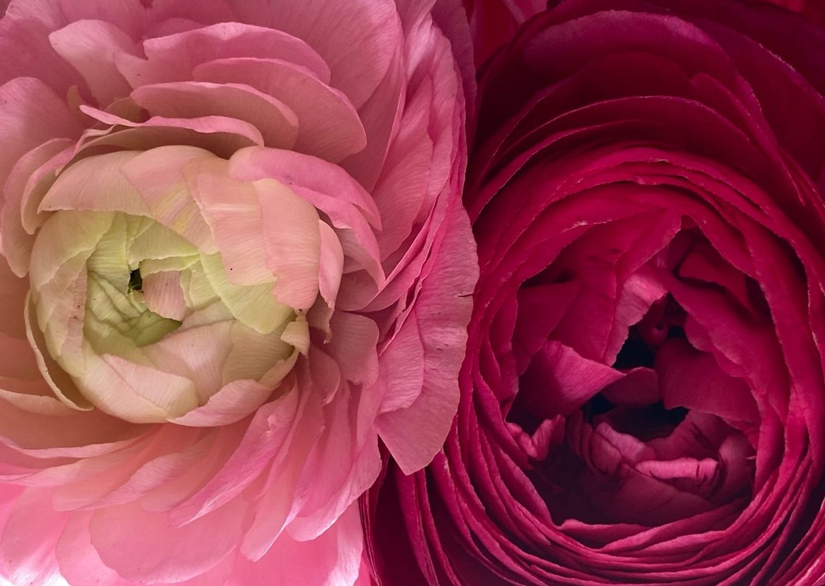 It's Not Them; It's Us: Thoughts on the Show Adolescence