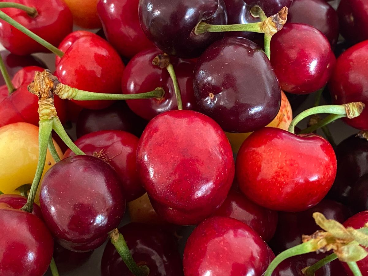 "I'm the Problem; It's Me": On the Confession the Mainstream Media Won't Make