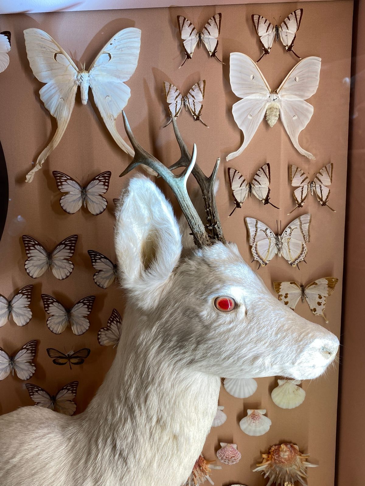 Categories Are Leaky (Over-Generalizations are Dangerous)