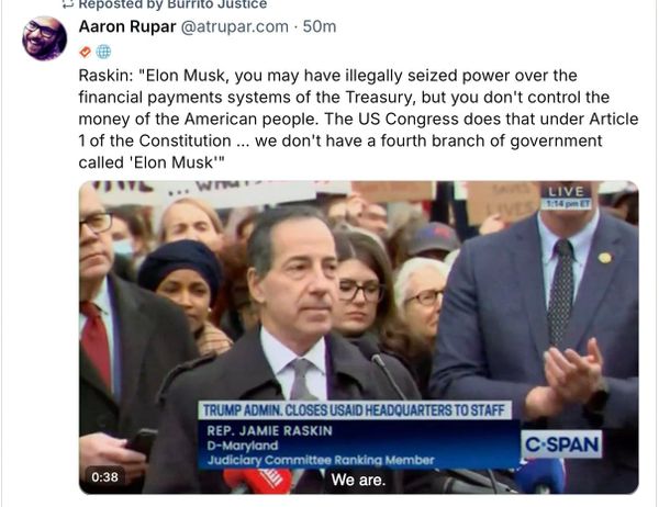 Congressman Raskin: "We don't have a fourth branch of government called 'Elon Musk.'"