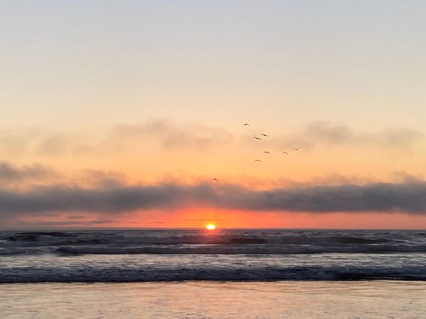 If Fossil Fuels Are War, Renewables Can Bring Peace