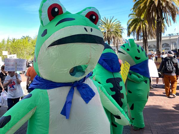 Everything Is Changing Fast: A Brisk Tour Through Shifting Views