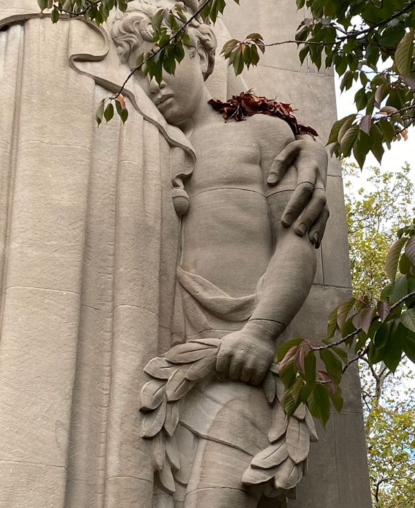 Notes on Violence and Voice