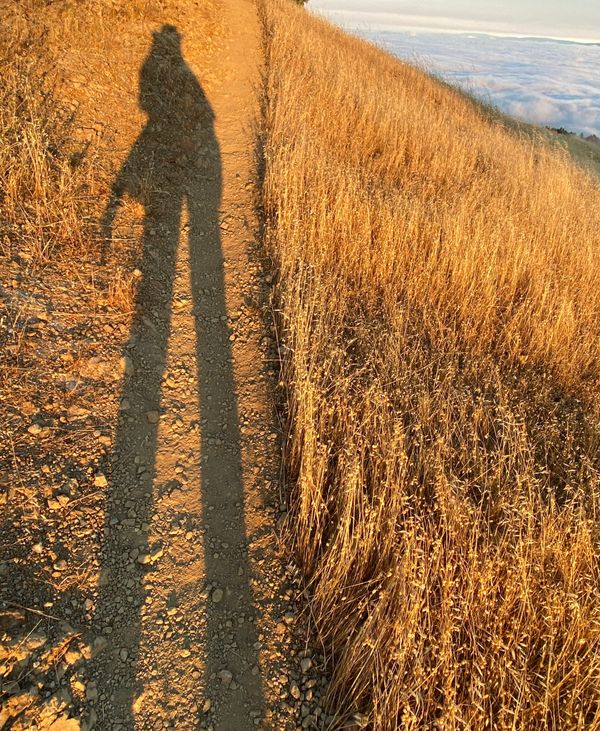 The Giantess Turns 70 (and the USA turns 250)