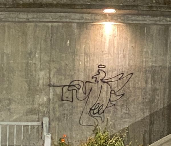 Lifeguards and Angels