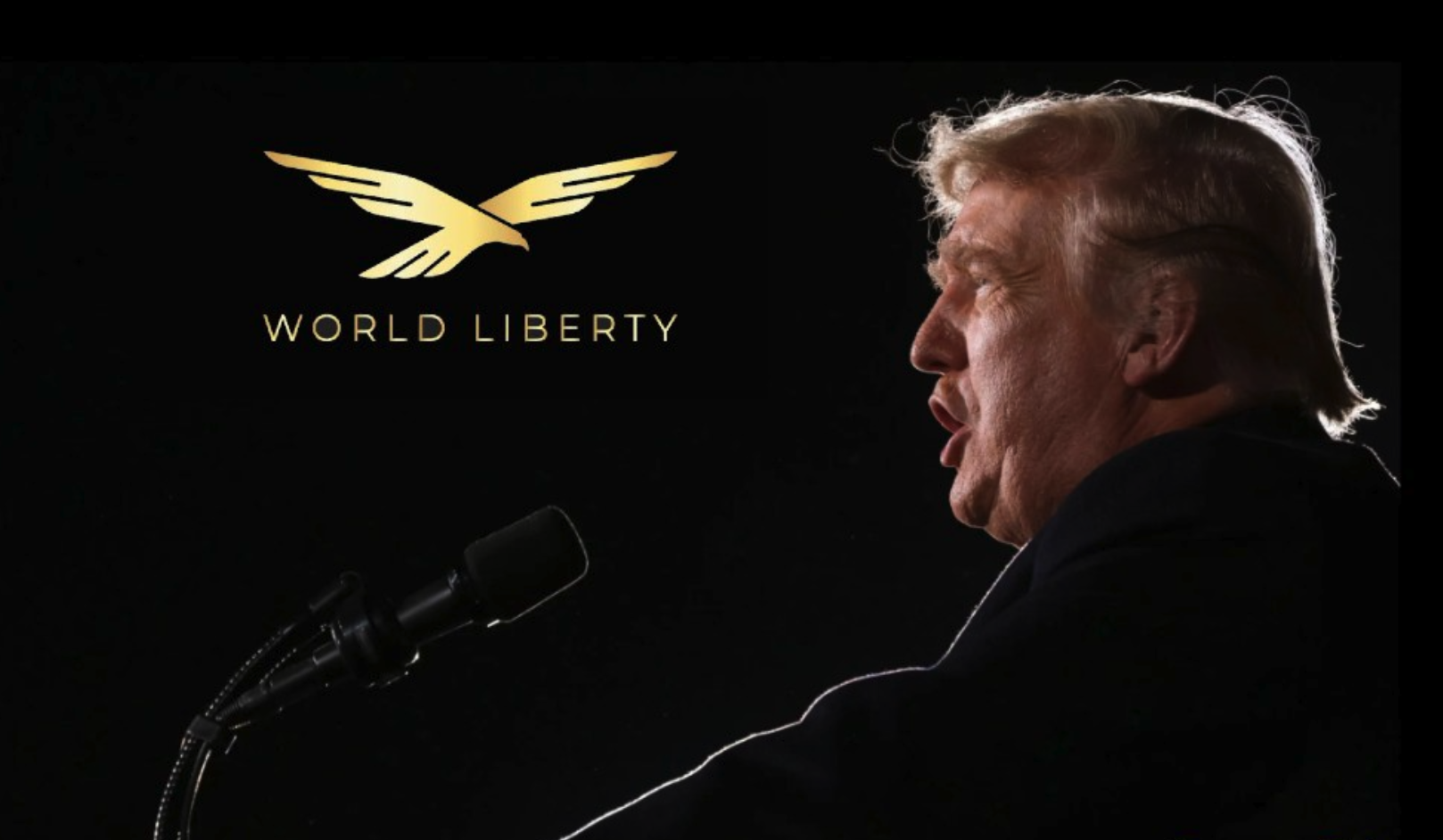 Crypto Daily Alpha - 14th October 2024: BTC Surges Above $64K, Vitalik Sells More Meme coins, Ripple CEO Joins SEC Fight